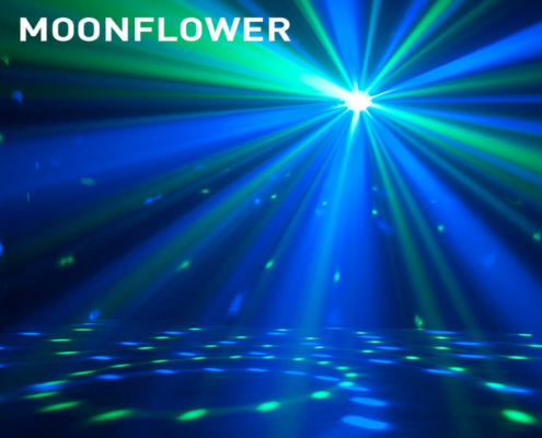 hyra disco lampa moonflower stockholm